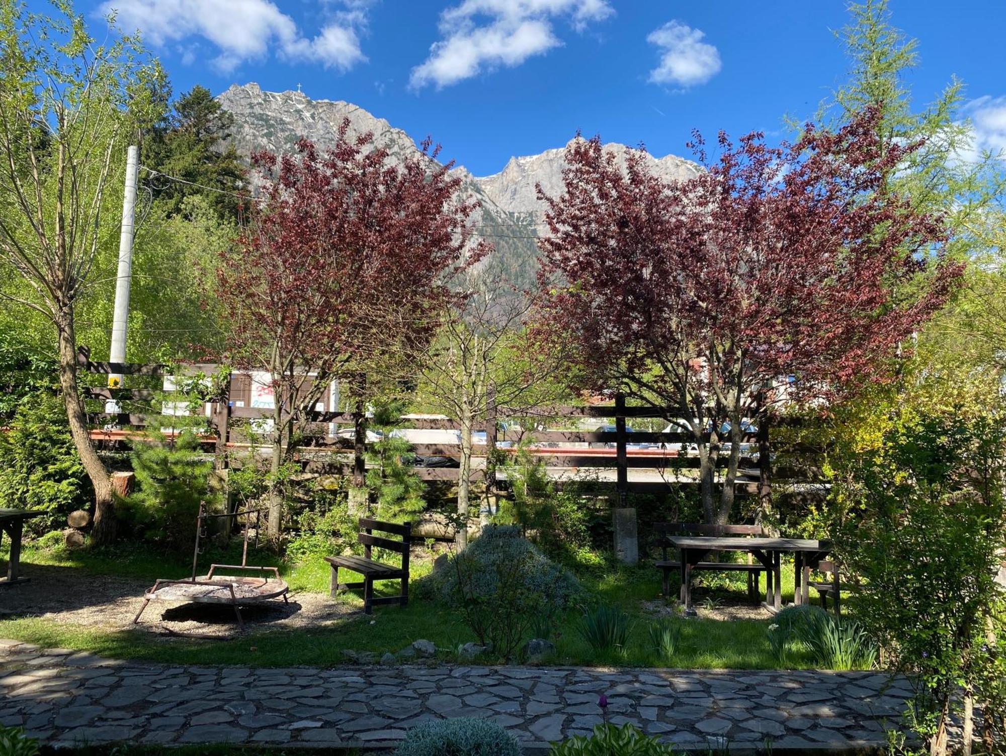 Apartament Pensiunea Liziera Buşteni Esterno foto